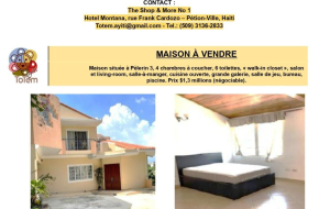 Annonce Immobilière (Maison à vendre à Pèlerin / $1,3 millions)