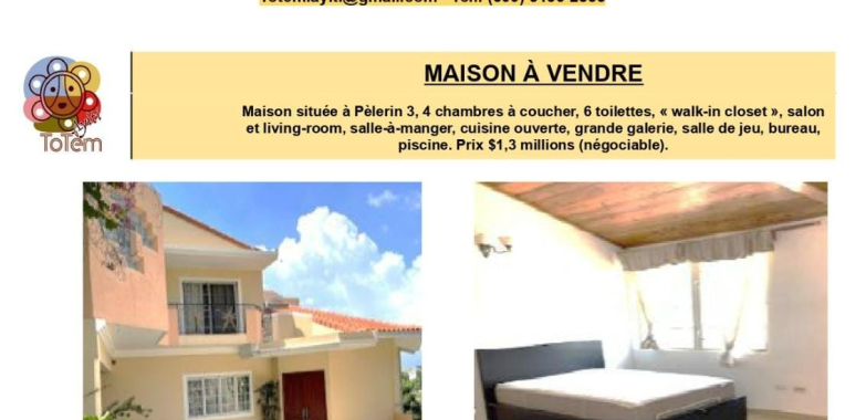 Annonce Immobilière (Maison à vendre à Pèlerin / $1,3 millions)