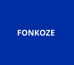 APPEL D’OFFRES – AUDIT FINANCIER BMZ-5 (2023–2025)