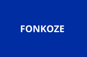 APPEL D’OFFRES – AUDIT FINANCIER BMZ-5 (2023–2025)