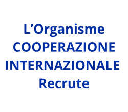 Chef de projet