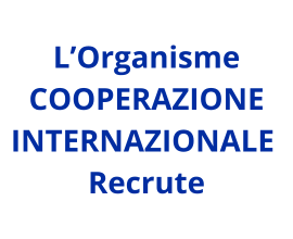 Chef de projet