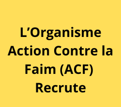 Agents des Terrains(H/F)