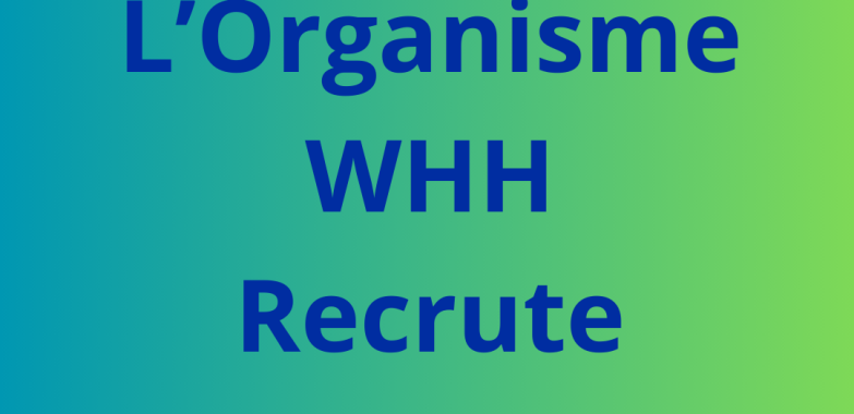 Un.e Chef.fe de projet