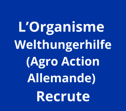 assistant (e) flotte en charge d