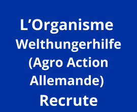assistant (e) flotte en charge d