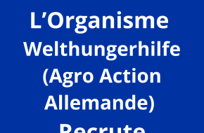 assistant (e) flotte en charge d