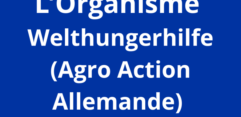 assistant (e) flotte en charge d