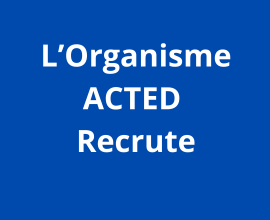 Assistant(e) de base de données