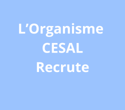 Responsable pédagogique et de gouvernance