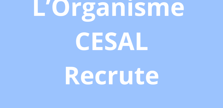 Responsable pédagogique et de gouvernance