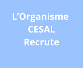 Assistant logisticien chauffeur