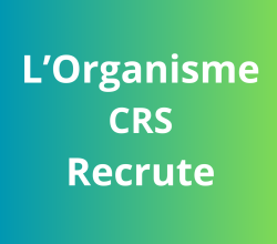 10 Agents de distribution