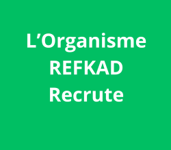 Coursier / Agent de support logistique