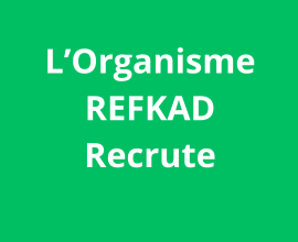 Coursier / Agent de support logistique