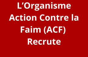 4 Travailleurs Psychosociaux