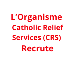 Agronomist_ Sorghum Specialist