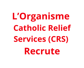 Agronomist_ Sorghum Specialist