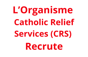 Agronomist_ Sorghum Specialist