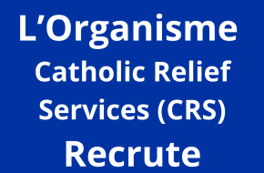 Assistant Distribution Officer