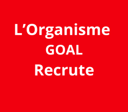 Monitoring, Evaluation, Accountability, and Learning (MEAL) Manager