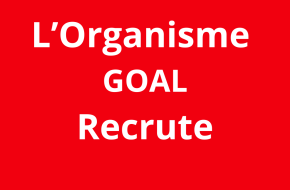 Monitoring, Evaluation, Accountability, and Learning (MEAL) Manager