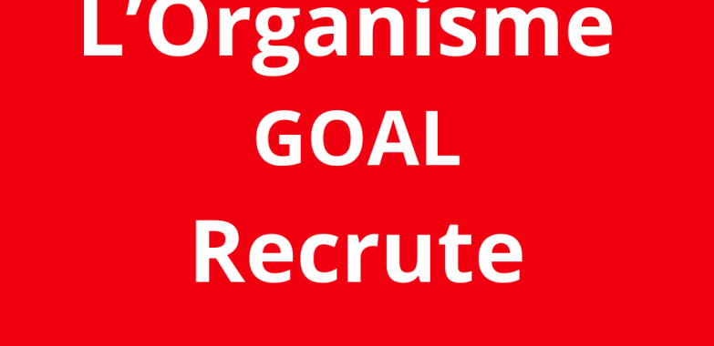 Monitoring, Evaluation, Accountability, and Learning (MEAL) Manager