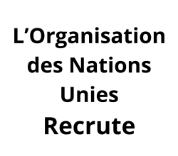 Consultant-Protection des victimes et des témoins