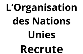 UN.E AGENT.E DE COORDINATION DE LA SÉCURITÉ (Analyste) (TJO), P3