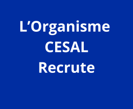 COORDINATEUR/TRICE TERRAIN EDUCATION