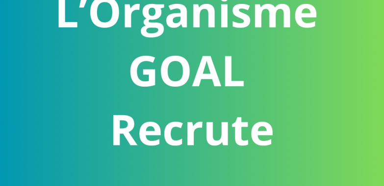Monitoring, Evaluation, Accountability, and Learning (MEAL) Manager