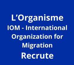 Protection Assistants _Consultancy _Category A