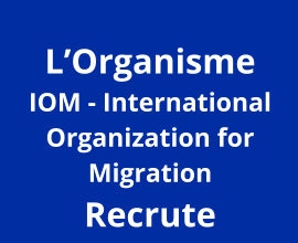 Protection Assistants _Consultancy _Category A