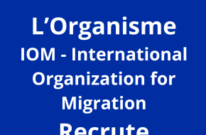 Protection Assistants _Consultancy _Category A