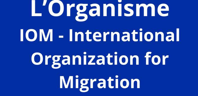 Protection Assistants _Consultancy _Category A