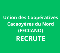 Un.e Assistant(e) Responsable de la Commercialisation, du Marketing et de la Communication
