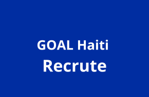 Assistant(e) IT