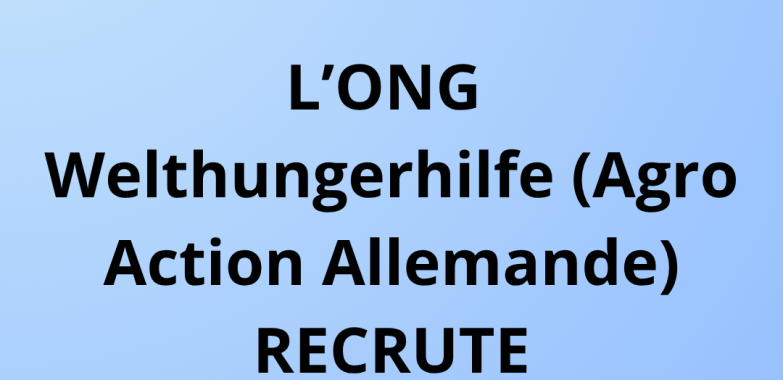 Un-e Chef.fe de projet (H/F)