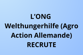 Coordonnateur de projet (H/F)