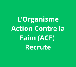 Chef d’équipe logistique Mission