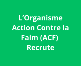 Chef d’équipe logistique Mission