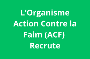 Chef d’équipe logistique Mission