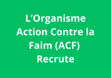 Chef d’équipe logistique Mission