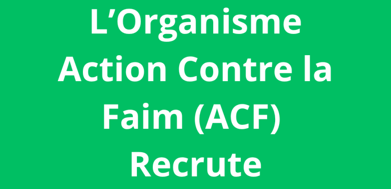 Chef d’équipe logistique Mission