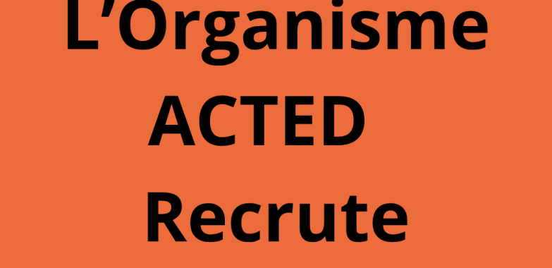 Un.e Stagiaire Archiviste