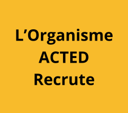 VINGT (25) Points focaux CCCM