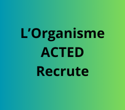 TROIS (3) ASSISTANT(ES) DE PROJET