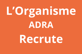 Chauffeur / Officier de logistique (Driver / Logistics Officer)