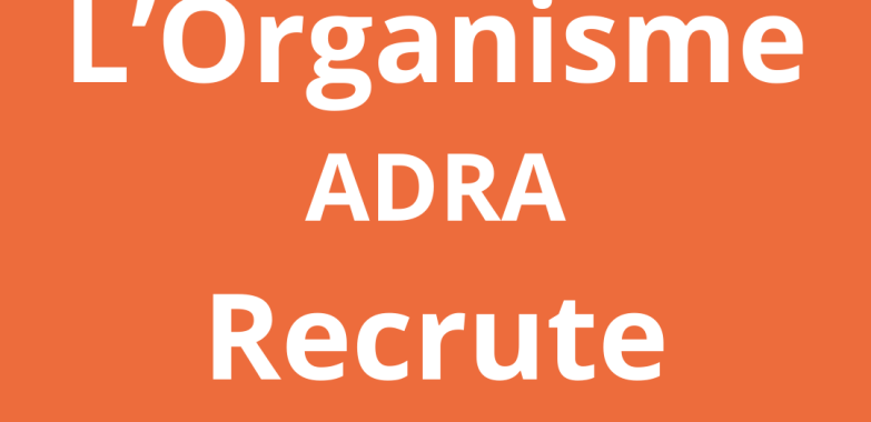 Chauffeur / Officier de logistique (Driver / Logistics Officer)