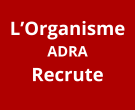 Un (1) Coordonnateur de Terrain